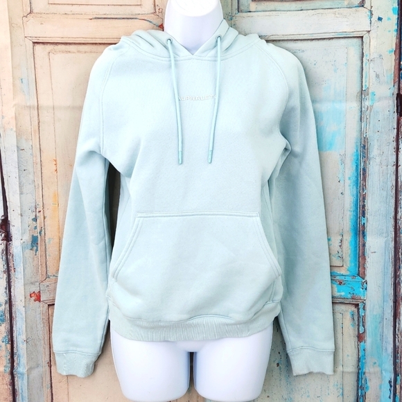 Alphalete Light Blue Performance Hoodie - Picture 3 of 8